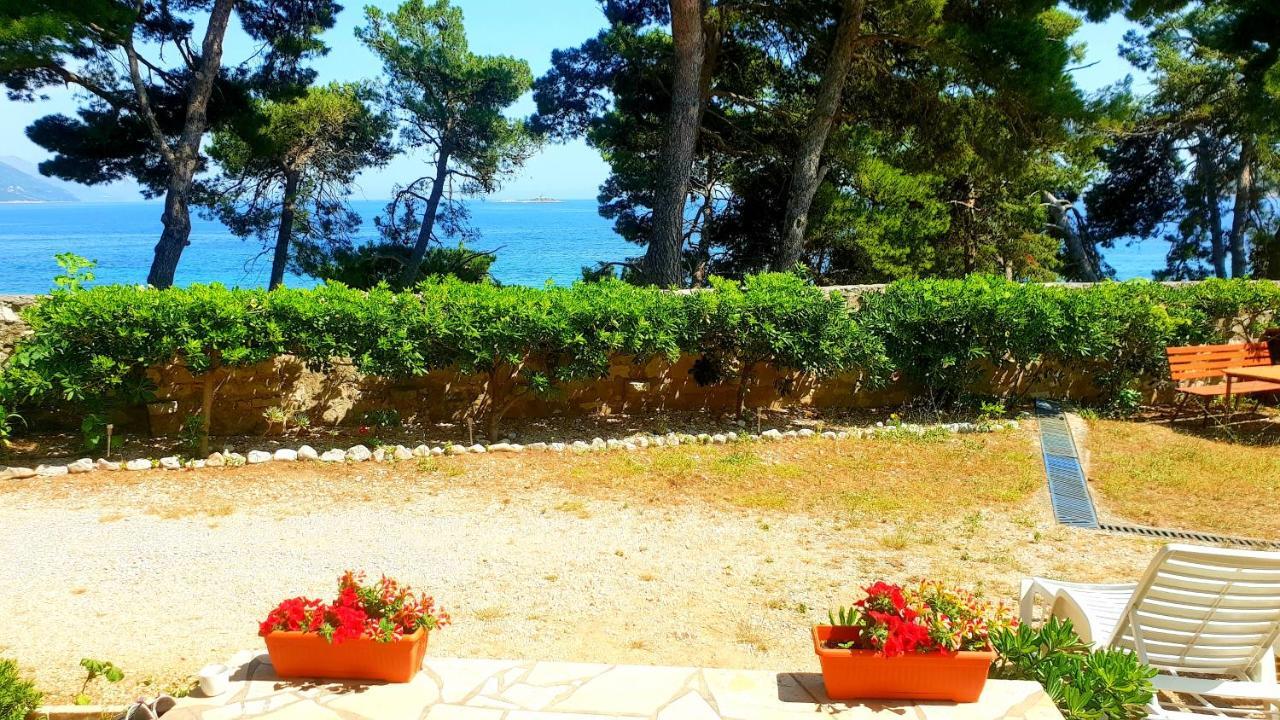 Beachfront Apartments Kate โอเรบิก ภายนอก รูปภาพ